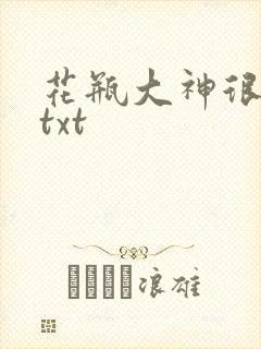 花瓶大神很菜鸟txt