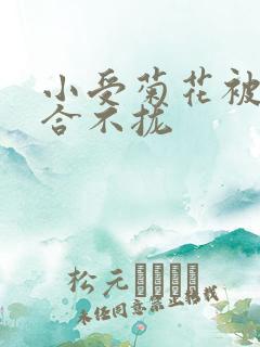 小受菊花被双龙合不拢