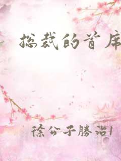 总裁的首席保姆