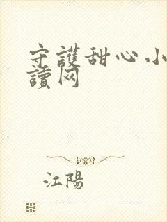 守护甜心小说阅读网