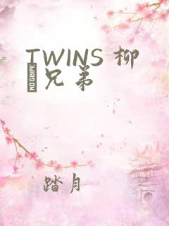 TWINS 柳澤兄弟
