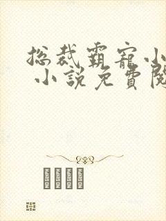 总裁霸宠小娇妻 小说免费阅读