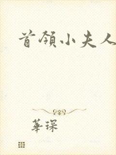 首领小夫人