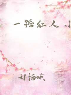 一号红人 小说