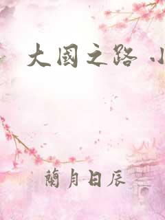 大国之路 小说