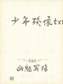 少年残像txt
