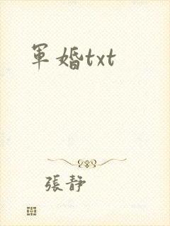 军婚txt