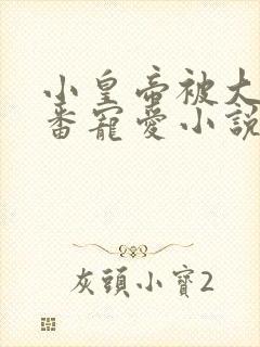 小皇帝被大臣轮番宠爱小说