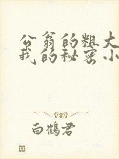 公翁的粗大放进我的秘密小说