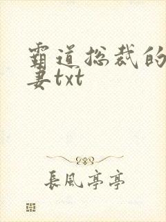 霸道总裁的挂名妻txt