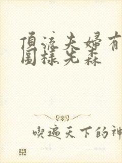 顶流夫妇有点甜图样先森