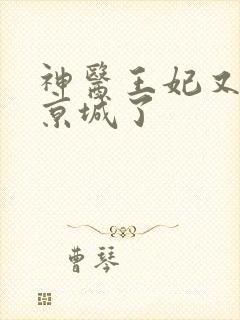 神医王妃又轰动京城了