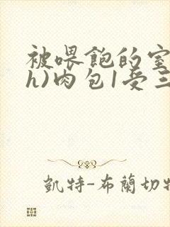 被喂饱的室友(h)肉包1受三攻