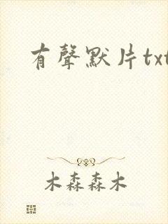 有声默片txt
