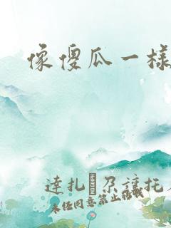 像傻瓜一样去爱