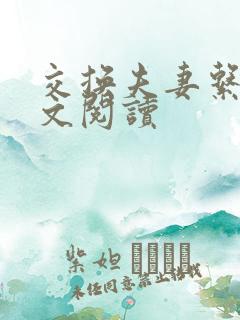 交换夫妻系列全文阅读