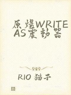 原炀WRITE AS震动器