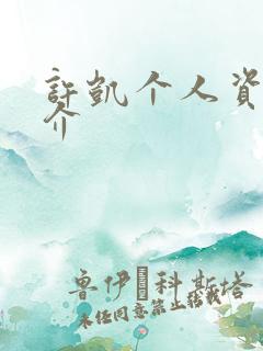 许凯个人资料简介