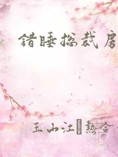错睡总裁房