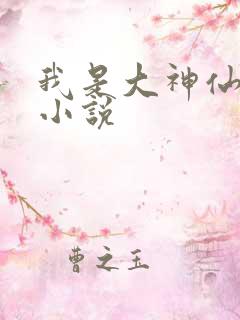 我是大神仙时江小说