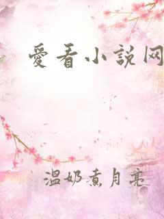 爱看小说网