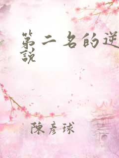 第二名的逆袭小说