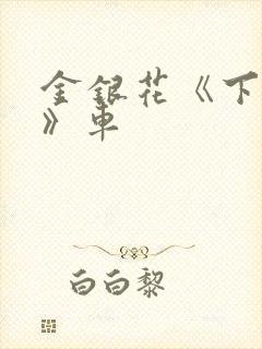 金银花《下厨房》车