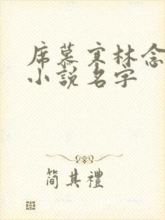 席慕寒林念儿的小说名字