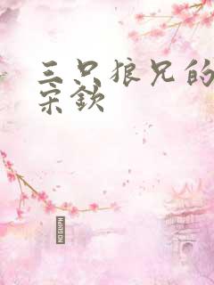 三只狼兄的宠妻宋钦