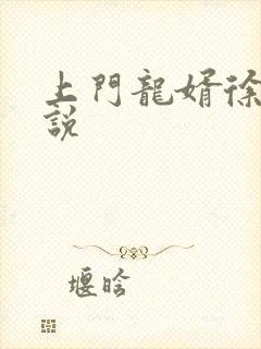 上门龙婿徐阳小说