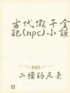 古代假千金挨日记(npc)小说