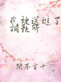 我被送进了私奴调教所