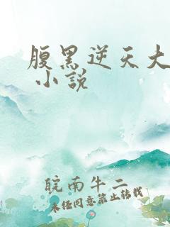 腹黑逆天大小姐 小说