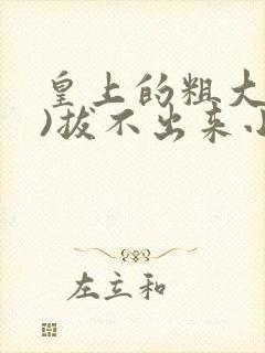 皇上的粗大(h)拔不出来小说