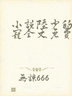 小说陆少的心尖宠全文免费阅读