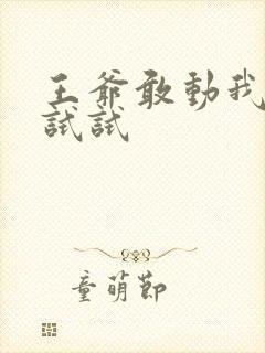王爷敢动我妈咪试试