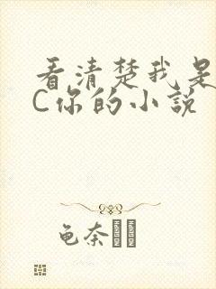 看清楚我是怎么C你的小说