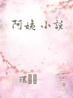 阿姨 小说