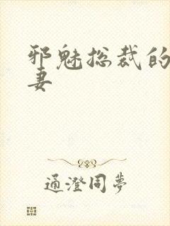 邪魅总裁的替身妻