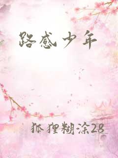 路感少年