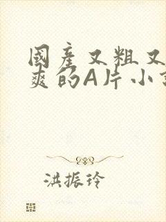 国产又粗又黄又爽的A片小说