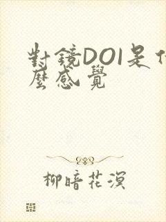 对镜DOI是什么感觉