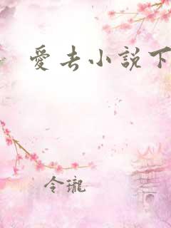 爱去小说下载网