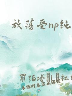 放荡受np纯肉