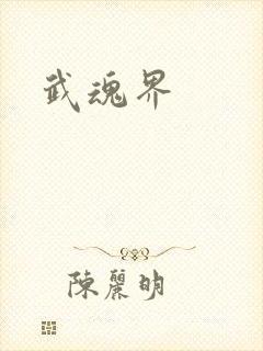 武魂界