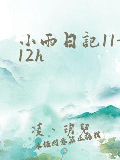 小雨日记11-12h