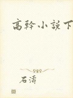 高干小说下载