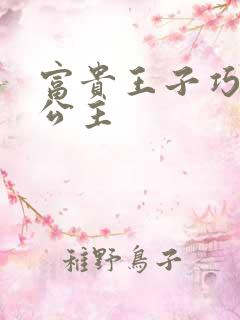 富贵王子巧遇穷公主