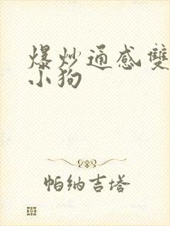 爆炒通感双胞胎小狗