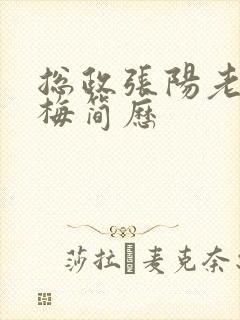 总政张阳老婆吕梅简历